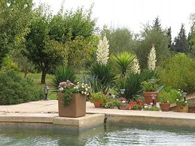 piscine4